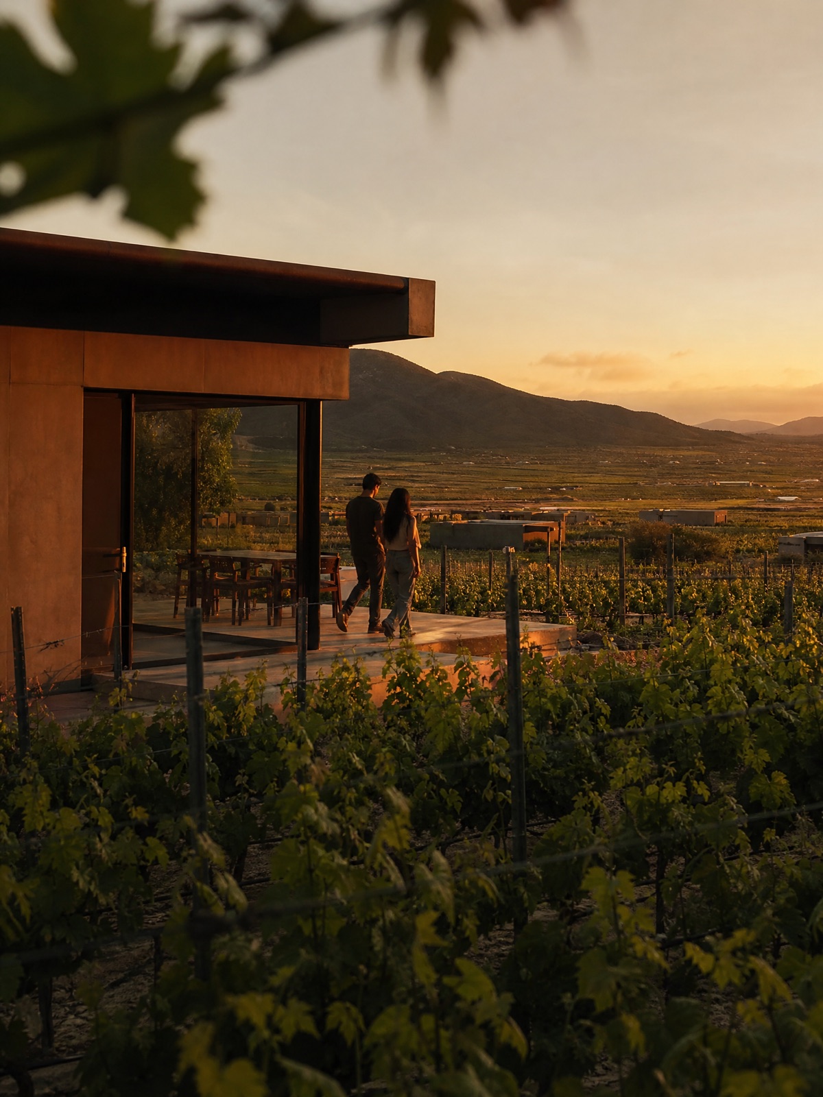Casa entre viñedos en Valle de Guadalupe, B.C.